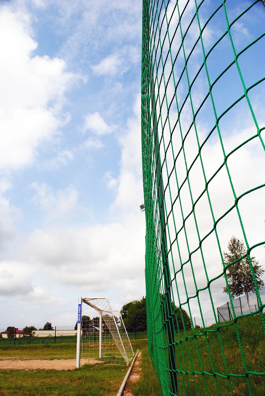 现有阵容进 现有阵容进