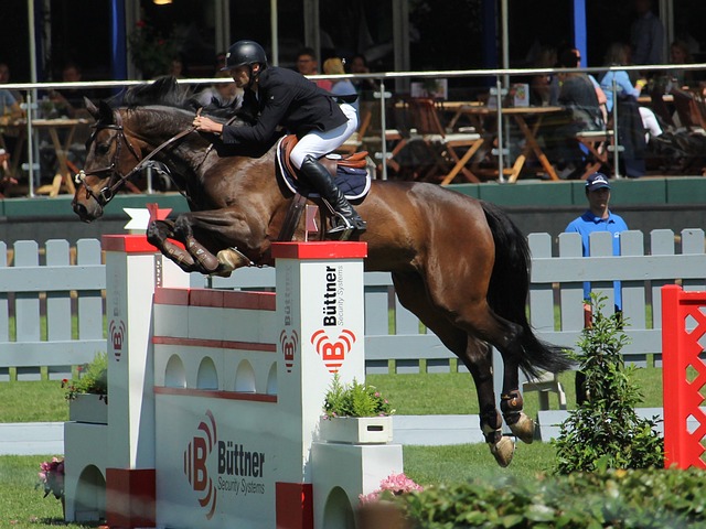 赛中最令人 赛中最令人