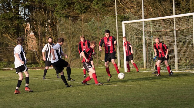 的训练和策 的训练和策