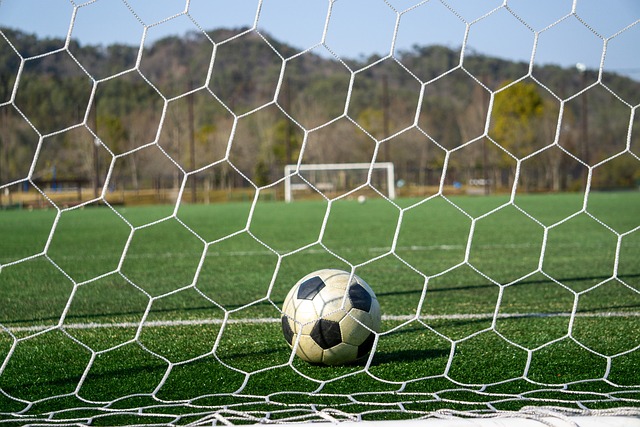 与他们重视 与他们重视