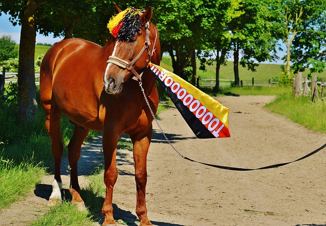 得了不少粉 得了不少粉