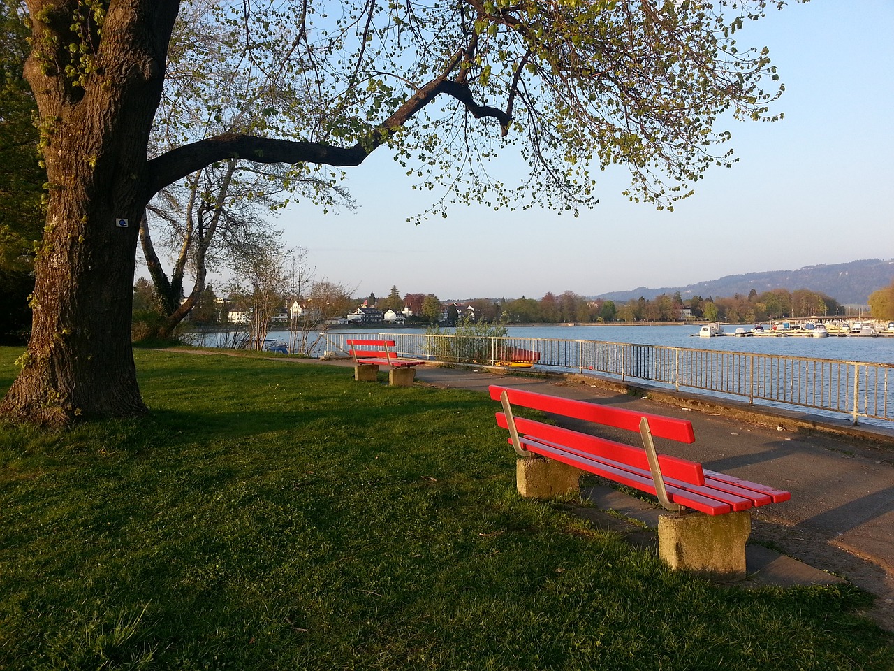 也起到了关 也起到了关